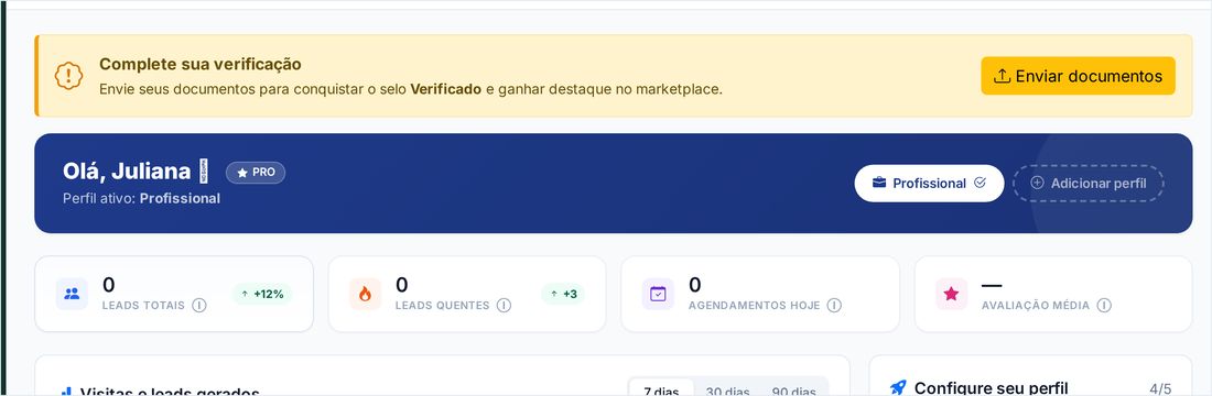 Topo do painel do profissional, com o aviso de verificação, a saudação com o plano e os quatro indicadores
