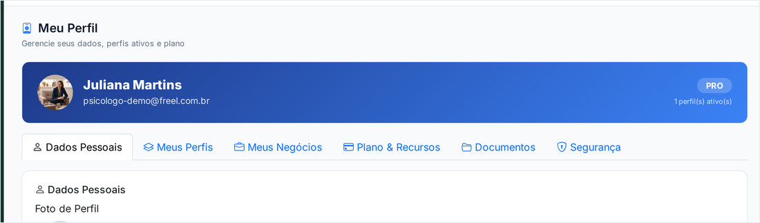 Tela Meu Perfil com as abas de dados, perfis, plano, documentos e segurança