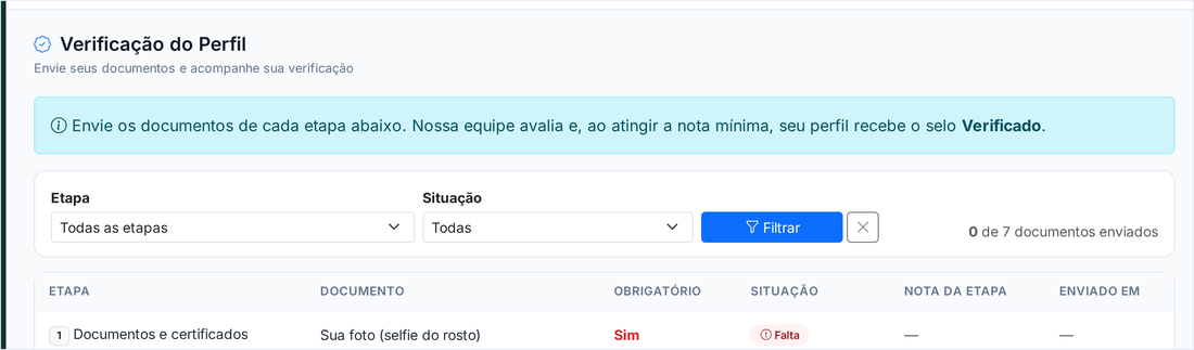 Tela Verificação do Perfil com a lista de etapas, documentos e a situação de cada um